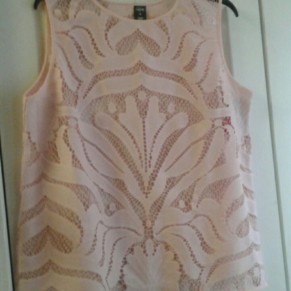 Shell - Picture 3 of 4